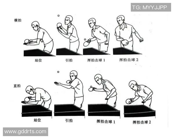 南京乒乓球队的训练节奏与比赛表现的深度分析与探讨