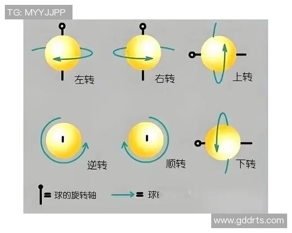成都乒乓球队的运营模式揭秘与深度分析探讨 成都乒乓球队的运营模式揭秘与深度分析探讨